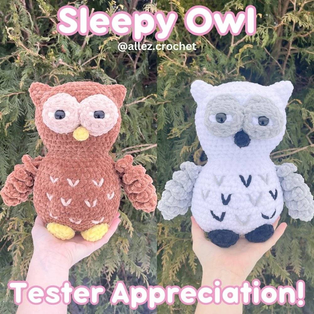 Amigurumi Sleepy Owl Crochet Project