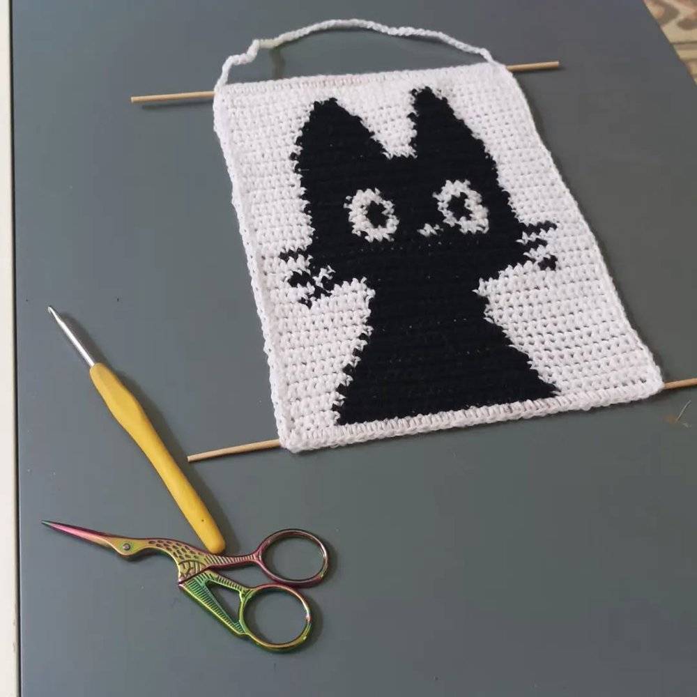 Black Cat Crochet Wall Hanging