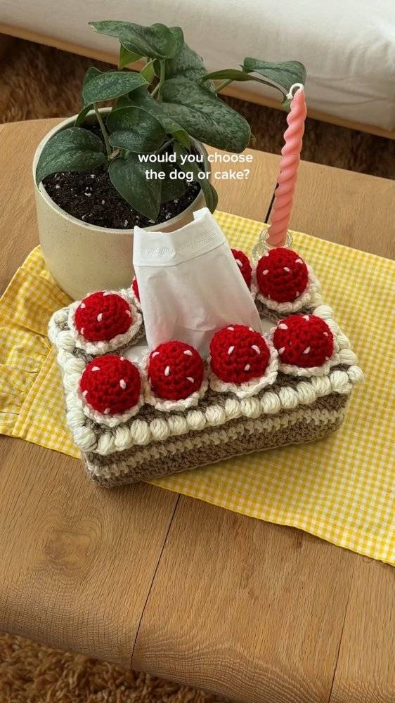Charming Crochet "Cake" Tissue Box Cover