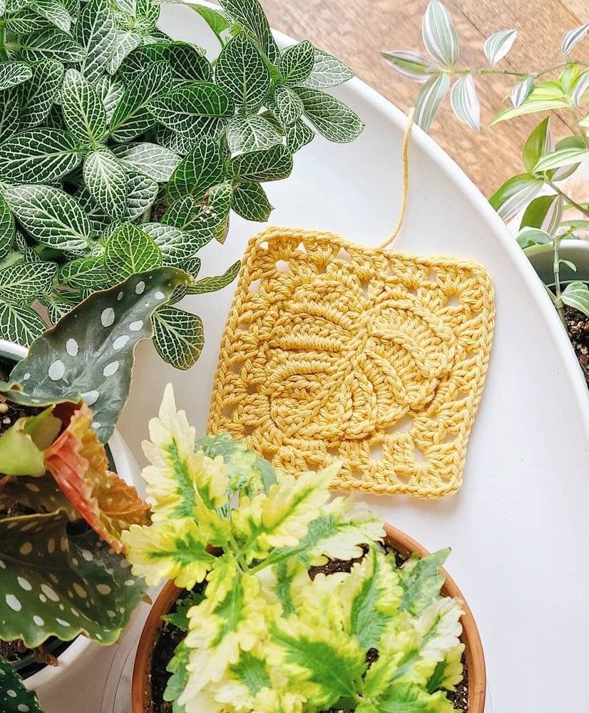 Crochet Monstera Leaf Square