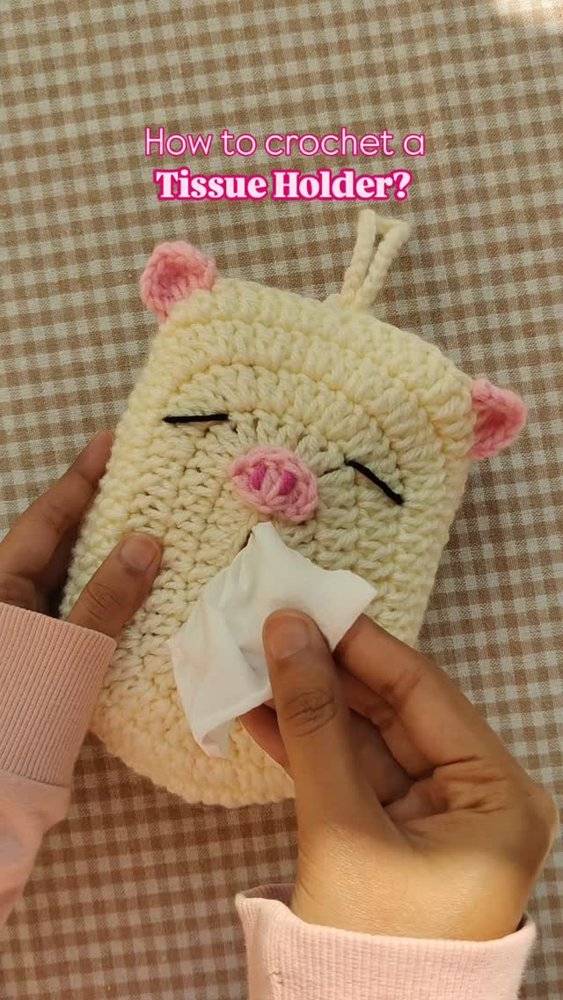 Cute Amigurumi Crochet Tissue Holder