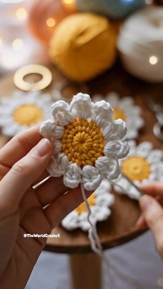 Delicate Crochet Daisy Appliques