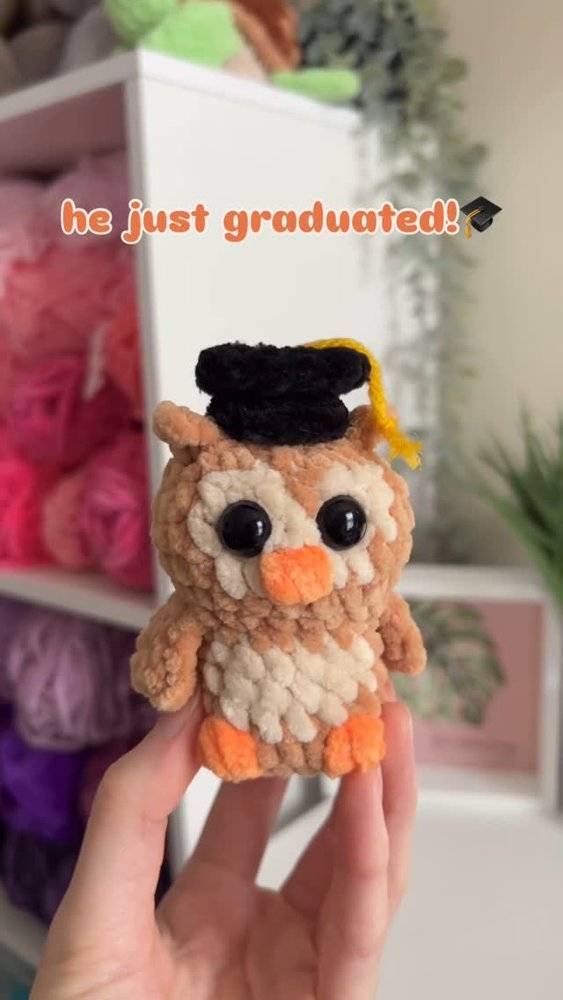 Graduation Owl Crochet Amigurumi