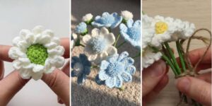 httpshelthdestiny.comcrochet-daisy-patterns_20260512051731