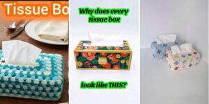 22 Crochet Tissue Box Patterns httpshelthdestiny.comcrochet-tissue-box-patterns_20260529171434