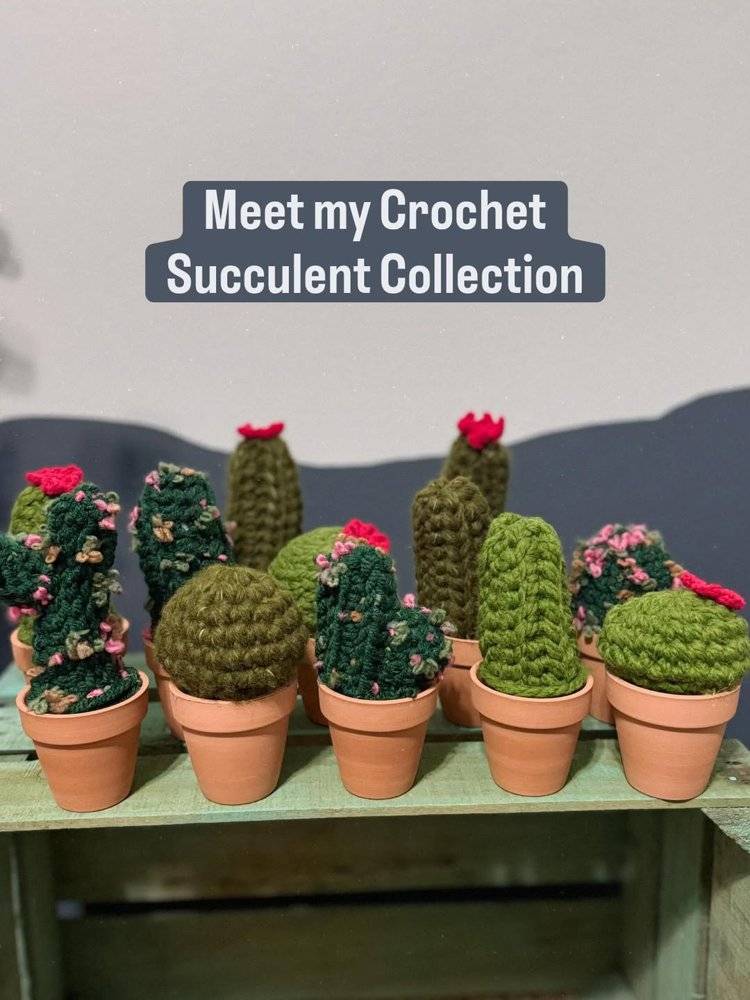 Adorable Crochet Cactus Collection