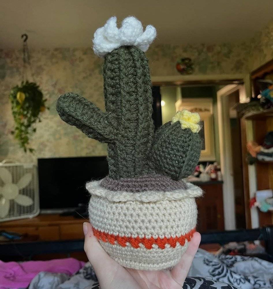 Adorable Crochet Cactus in a Potted Planter