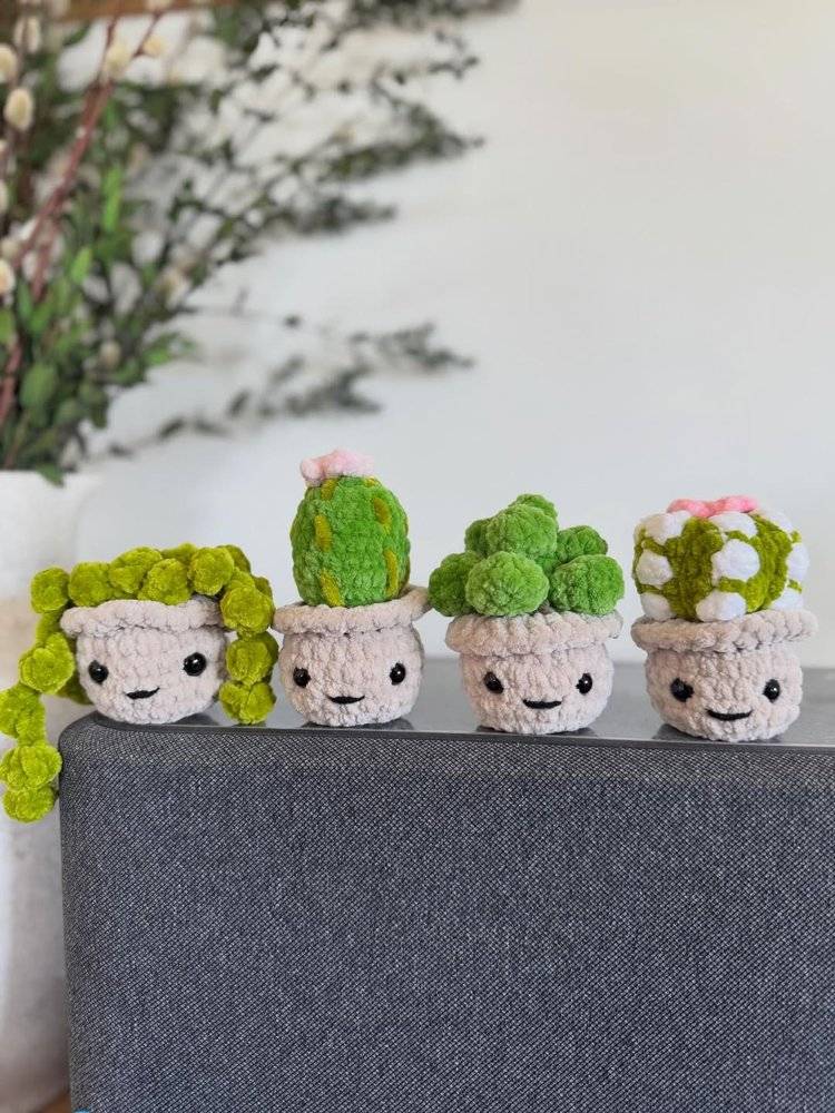 Amigurumi Crochet Cactus Plants