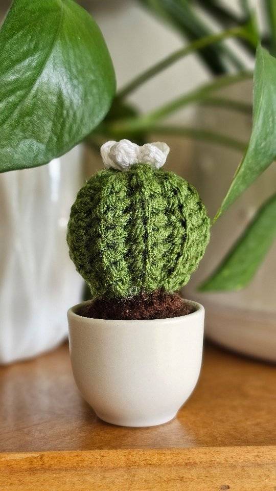 Amigurumi Crochet Cactus Project