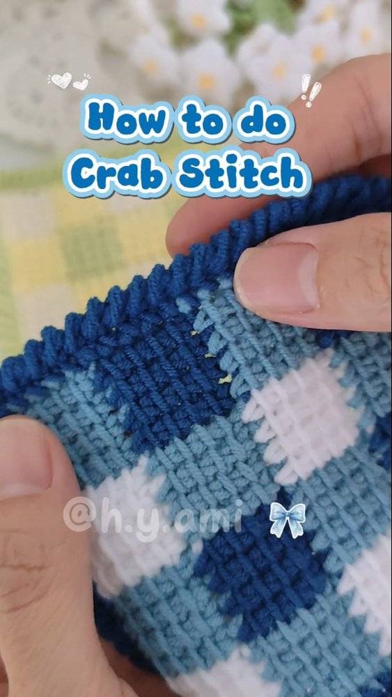 Blue and White Crochet Crab Stitch Edging