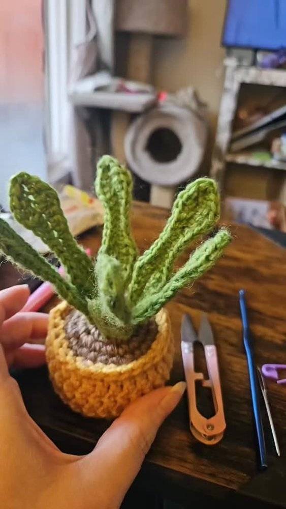 Charming Crochet Cactus Plant Decor