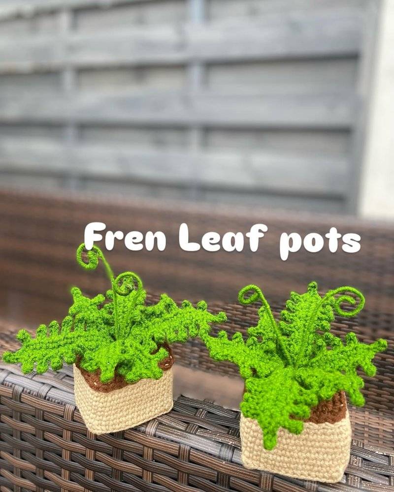 Charming Crochet Fern Pots