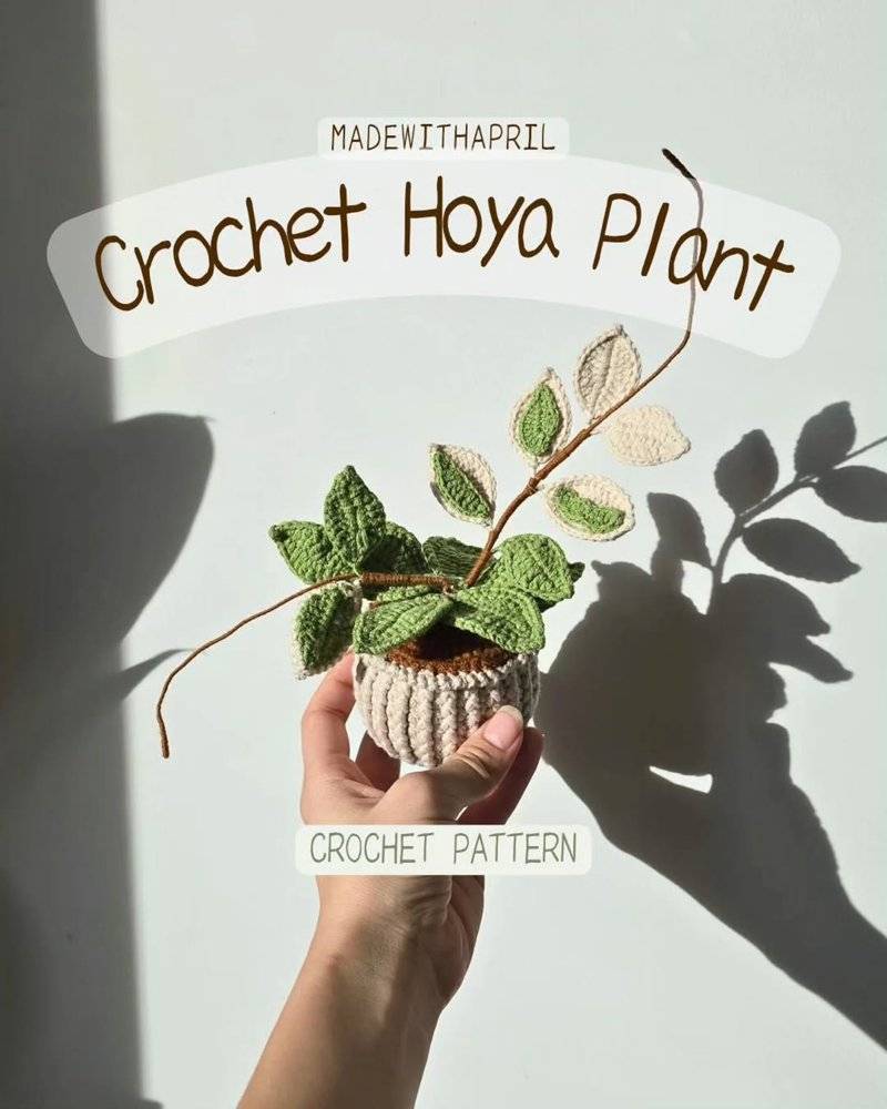Charming Crochet Hoya Plant Decor