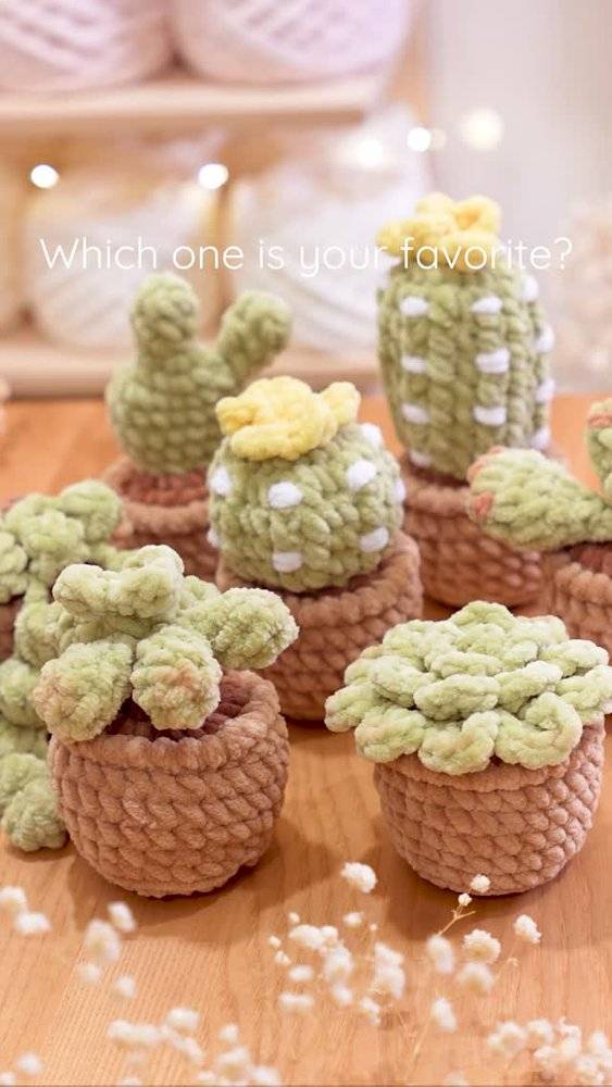 Charming Crochet Potted Succulents and Cacti