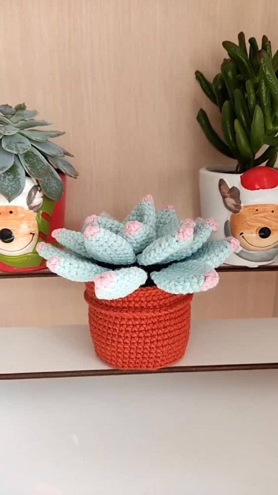 Charming Crochet Succulent Plant