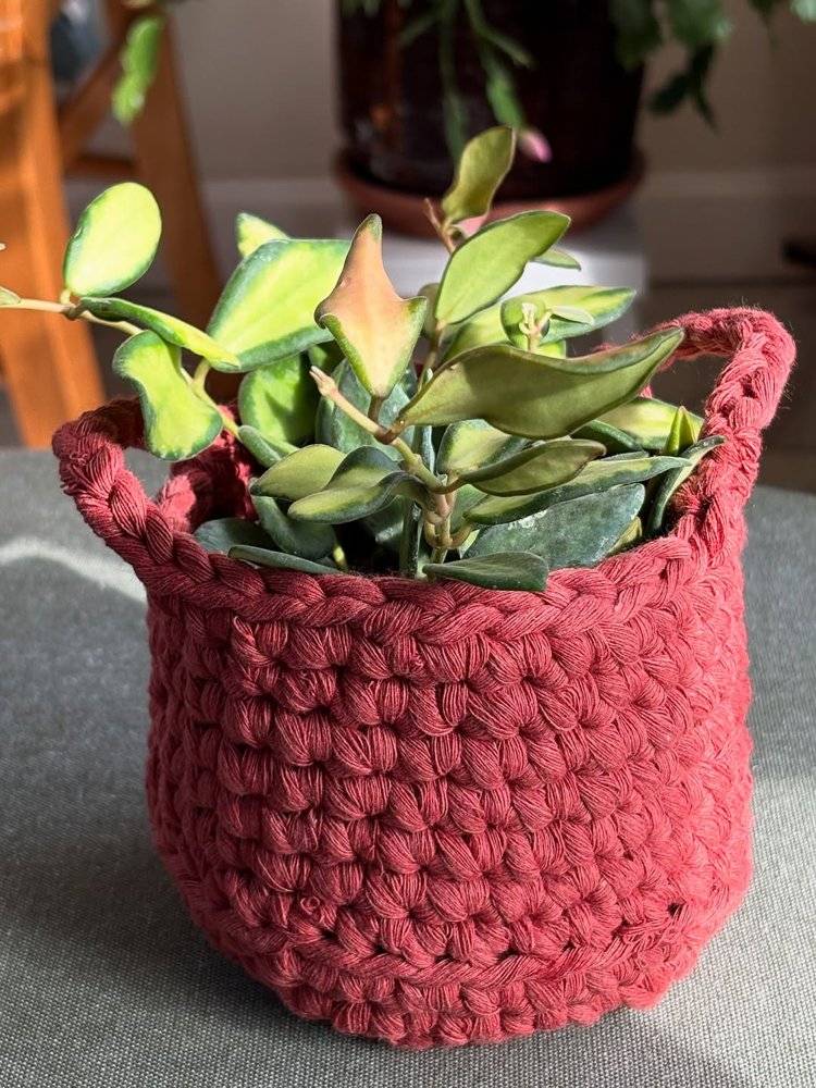 Chunky Crochet Plant Pot Holder
