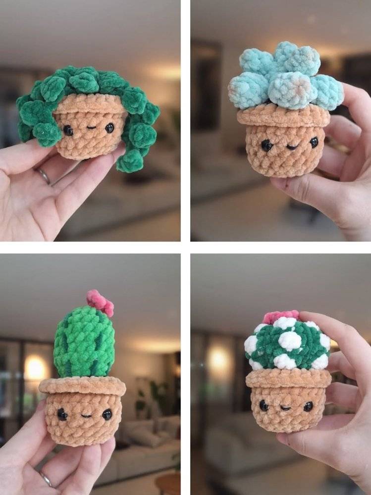 Chunky Crochet Succulent & Cactus Pots