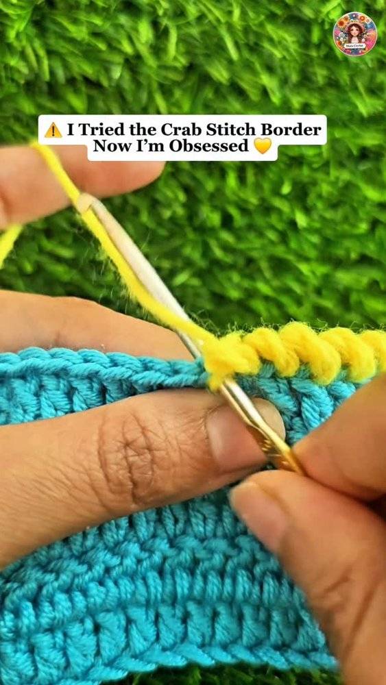 Crochet Crab Stitch Border Tutorial