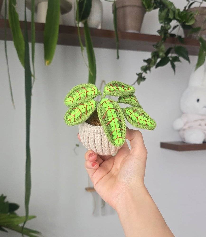 Crochet Fittonia Plant in a Ribbed Pot