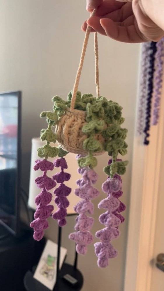 Crochet Hanging Plant Decor