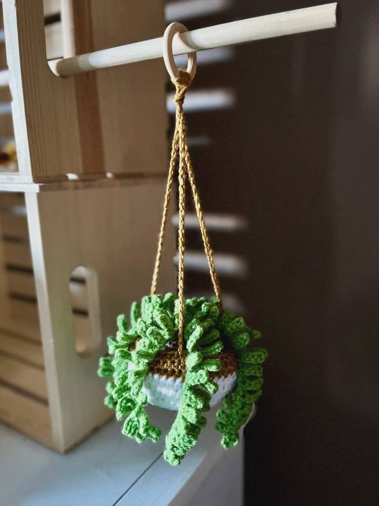 Crochet Hanging Succulent Plant Decor