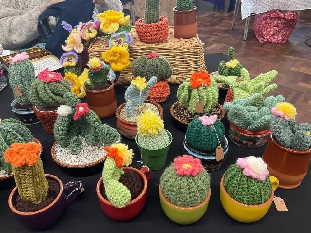 Crocheted Cactus and Flower Collection