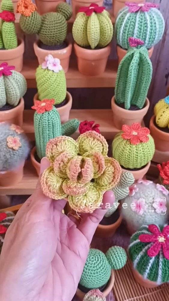 Crocheted Desert Cactus Amigurumi Collection