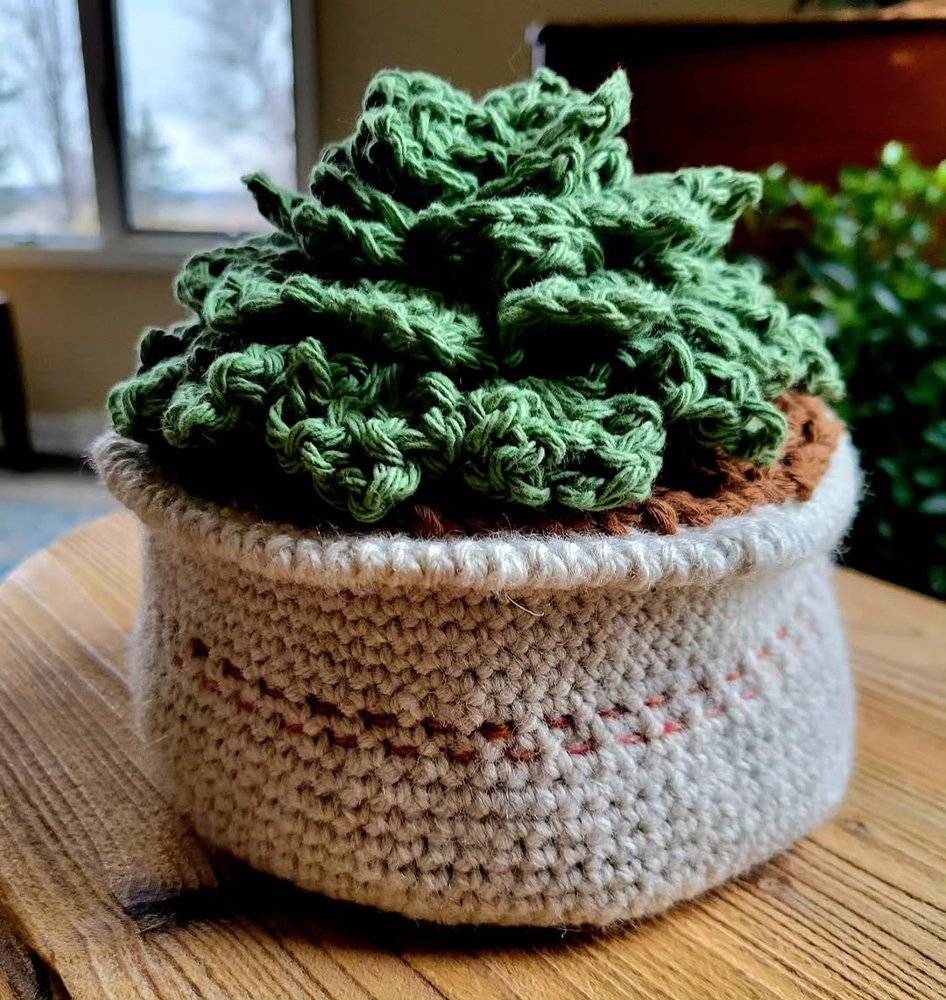 Crocheted Succulent Plant Pot Decor