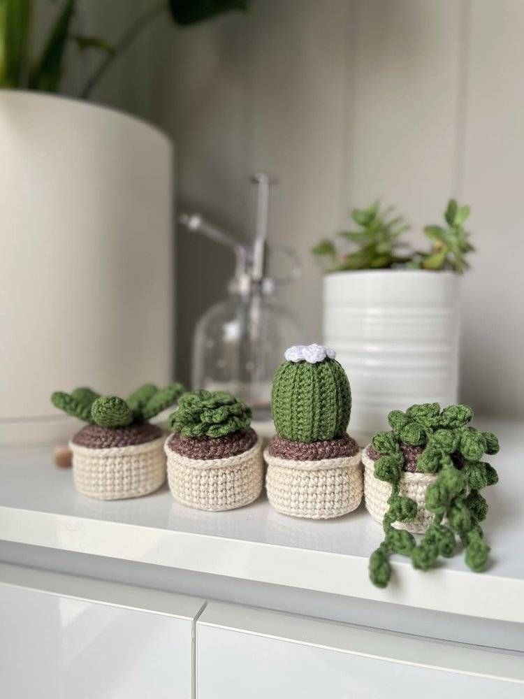 Mini Crochet Succulent Plant Collection