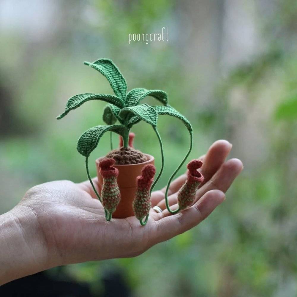 Miniature Crochet Pitcher Plant Amigurumi