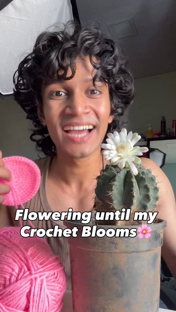 Pink Crochet Cactus Pot Cozy