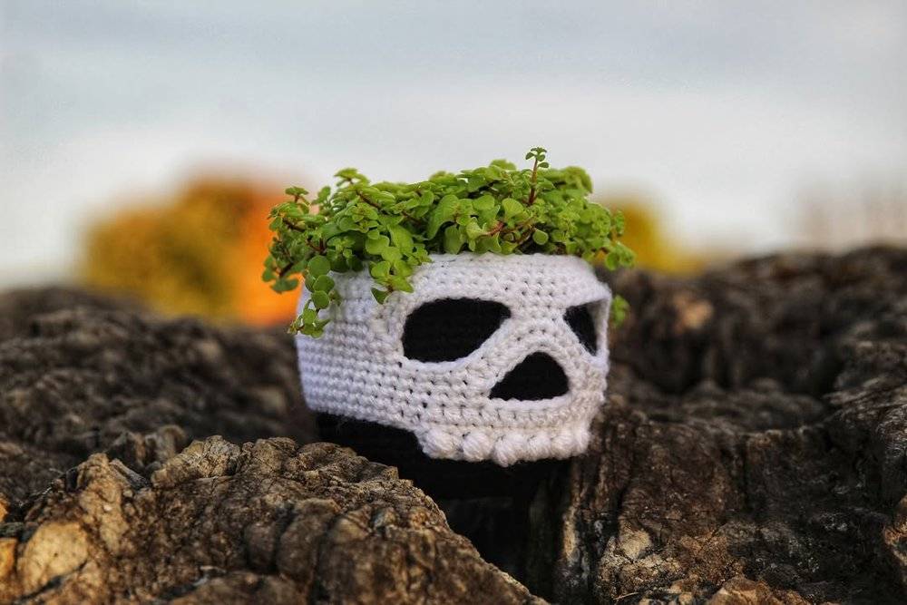 Spooky Skull Crochet Planter Cover