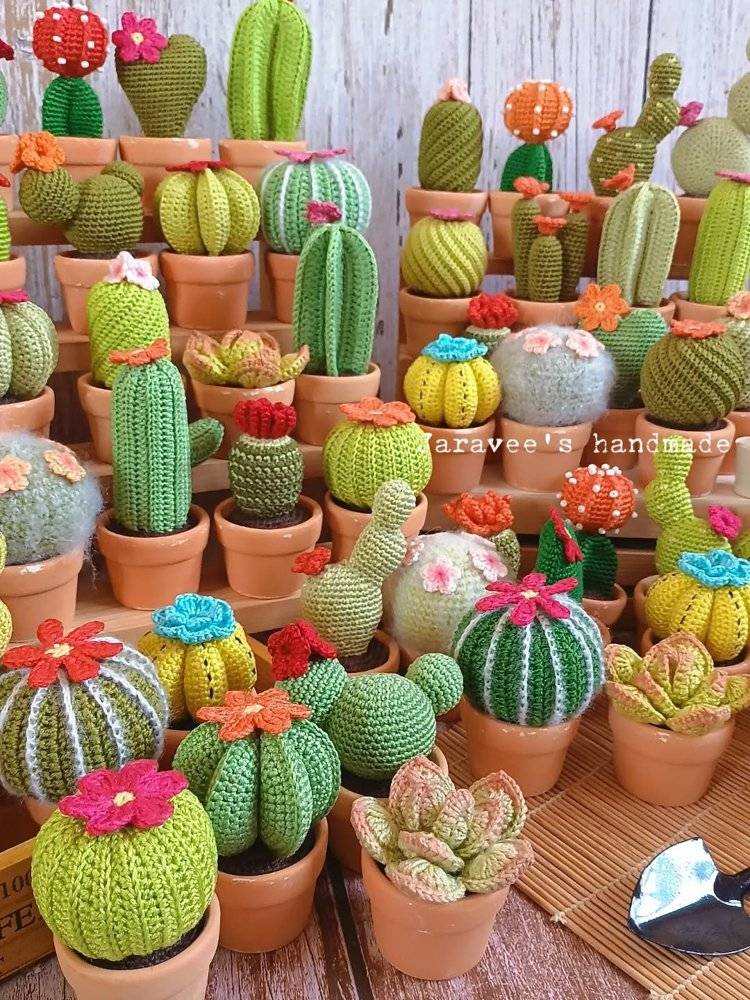 Whimsical Crochet Cactus Collection