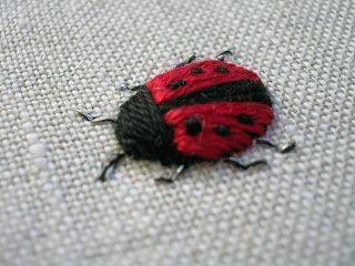 Charming Embroidered Ladybug Detail