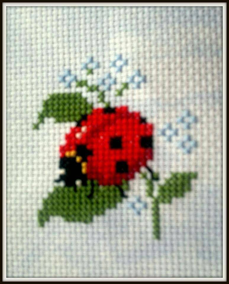 Charming Ladybug Cross Stitch Design