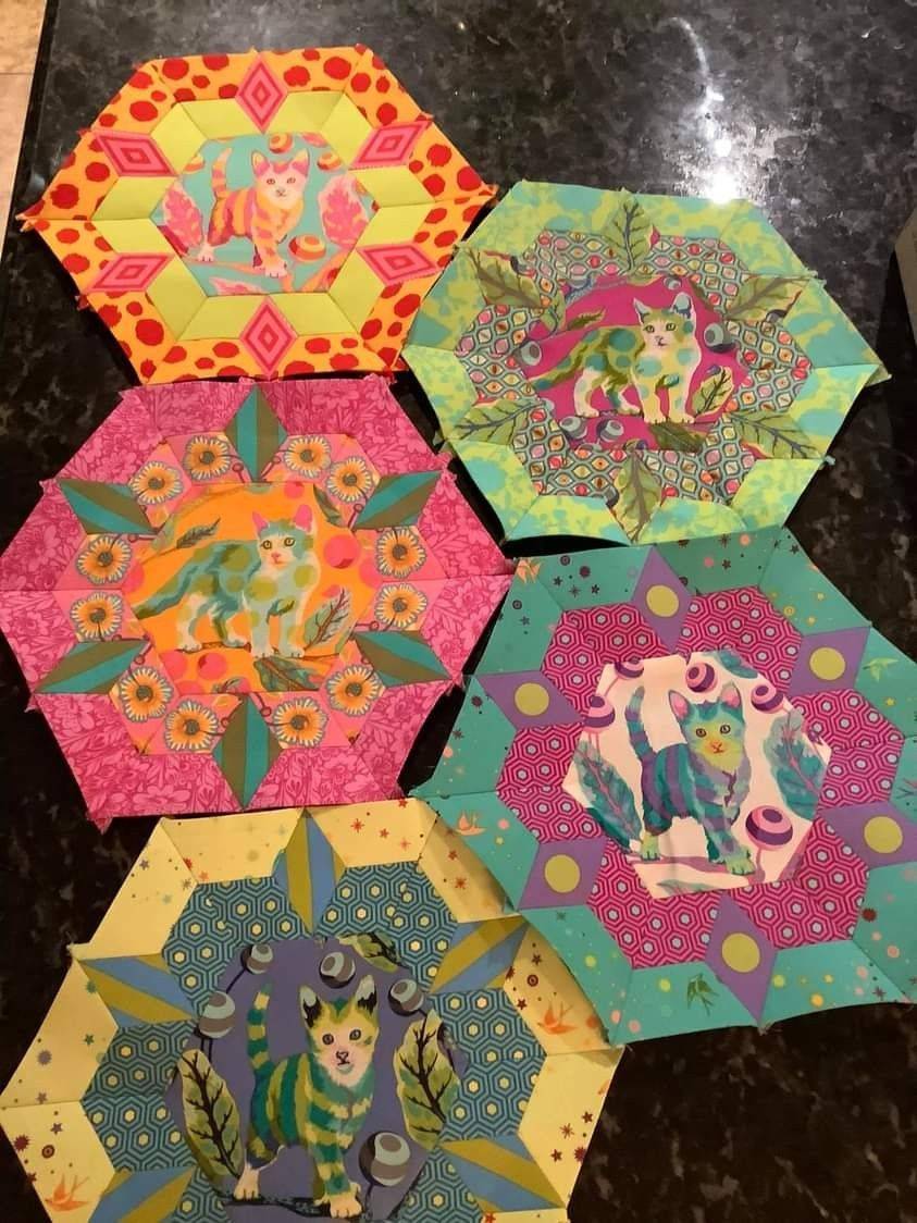 Tula Pink Cat Hexagon Quilt Blocks