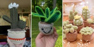 httpshelthdestiny.comcactus-crochet-potted-plant-patterns_20260807164659