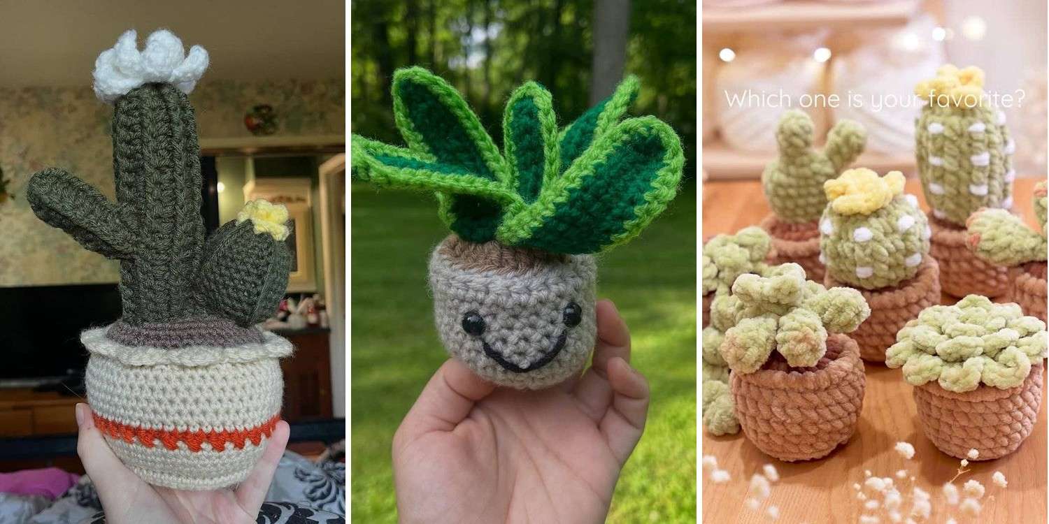 27 Cactus Crochet Potted Plant Patterns