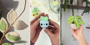 httpshelthdestiny.comcrochet-hoya-plant-crochet-vine-plant-patterns_20260807164656