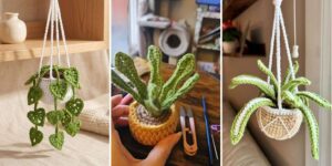 21 Fern Plant Crochet Vine Plant Patterns httpshelthdestiny.comfern-plant-crochet-vine-plant-patterns_20260807164655