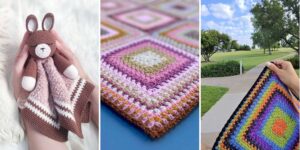 httpshelthdestiny.commoss-stitch-crochet-border-patterns_20260807164652