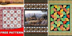 httpshelthdestiny.comnorthcott-fabrics-free-patterns_20260807112610