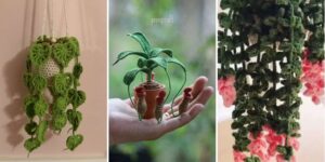 httpshelthdestiny.compothos-plant-crochet-vine-plant-patterns_20260807164644
