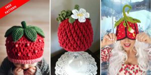 20 Strawberry Hat Patterns httpshelthdestiny.comstrawberry-hat-patterns_20260807100723