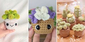19 Succulents Crochet Potted Plant Patterns httpshelthdestiny.comsucculents-crochet-potted-plant-patterns_20260807164627