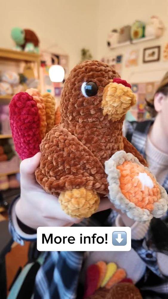 Amigurumi Crochet Turkey with Pumpkin Pie