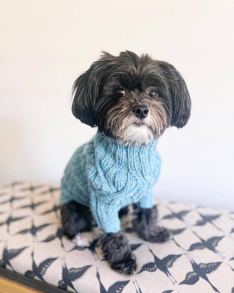 Cable Knit Dog Sweater Project