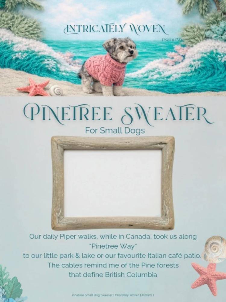 Cable Knit Dog Sweater Project