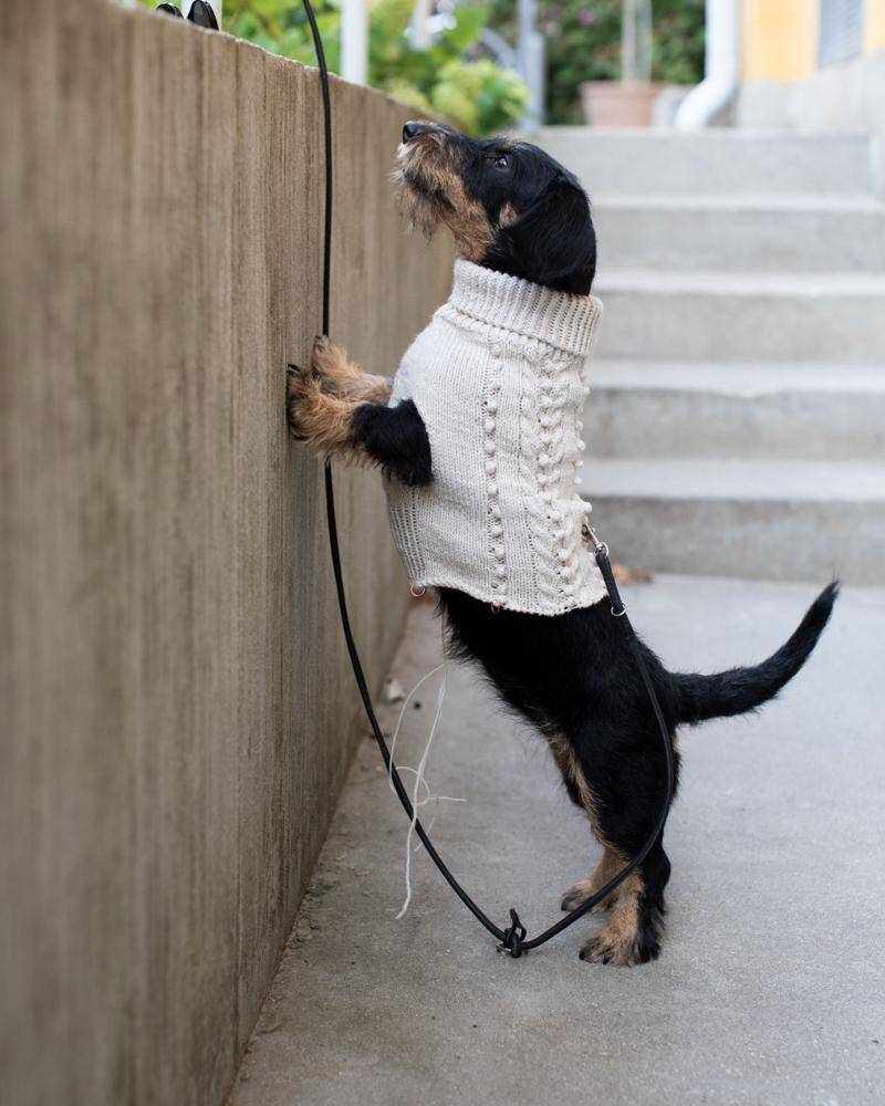 Cable Knit Dog Sweater with Turtleneck
