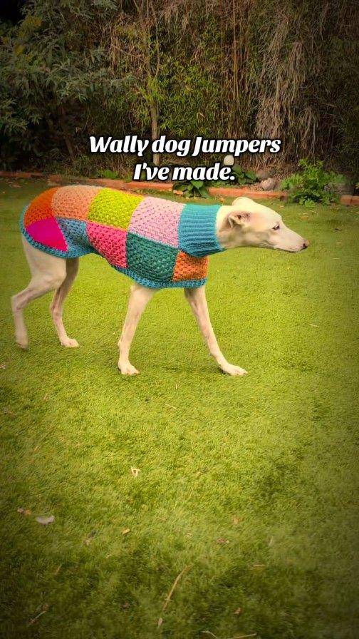 Colorful Patchwork Crochet Dog Sweater